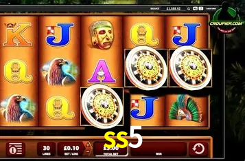 Descubra o Programa VIP da ss5: Vantagens Exclusivas para Jogadores